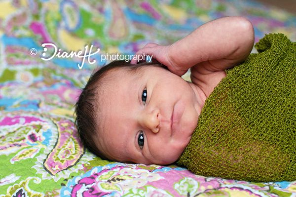 Alert newborn baby poses on colorful blanket
